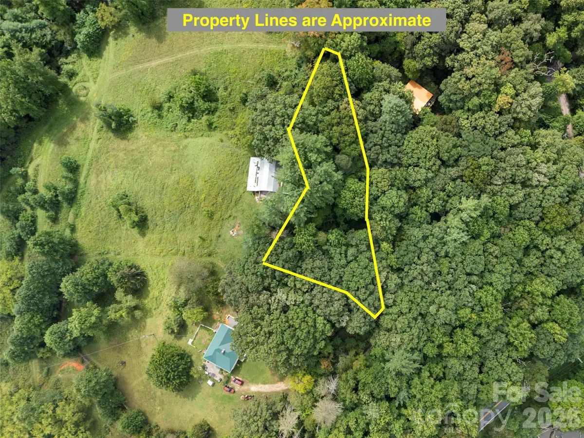 9999 Royal Knoll Drive, Hendersonville, NC 28792 - #1