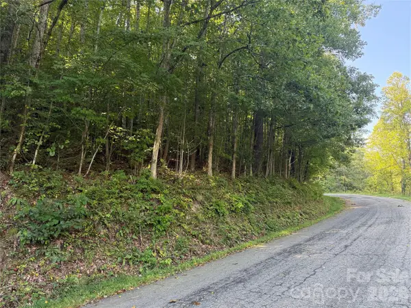 000 Bobcat Road, Waynesville, NC 28785
