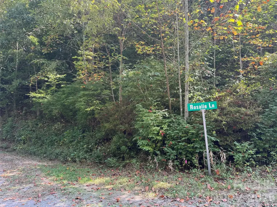 000 Bobcat Road, Waynesville, NC 28785 - #3