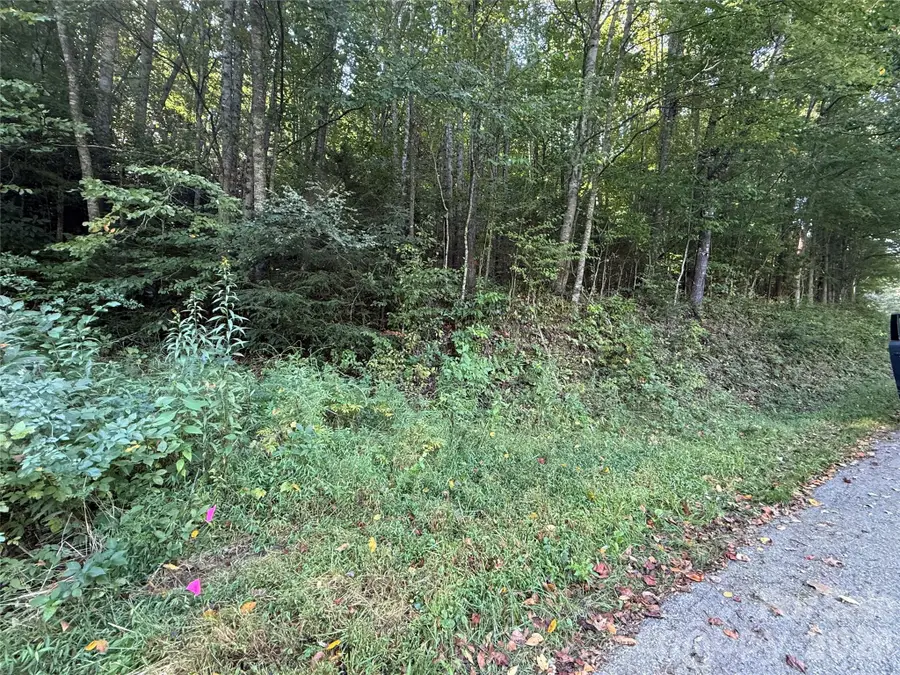 000A Bobcat Road, Waynesville, NC 28785 - #2