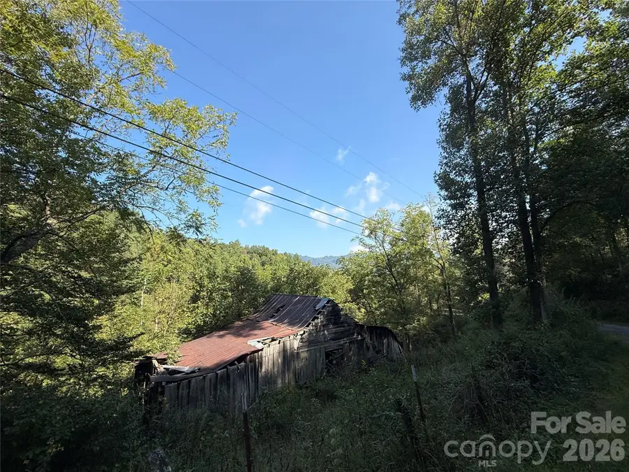 000A Bobcat Road, Waynesville, NC 28785 - #3