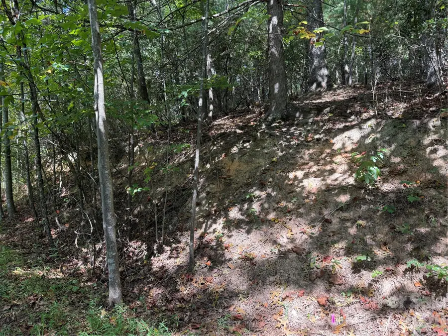 000A Rosalie Lane #19, Waynesville, NC 28785 - #2