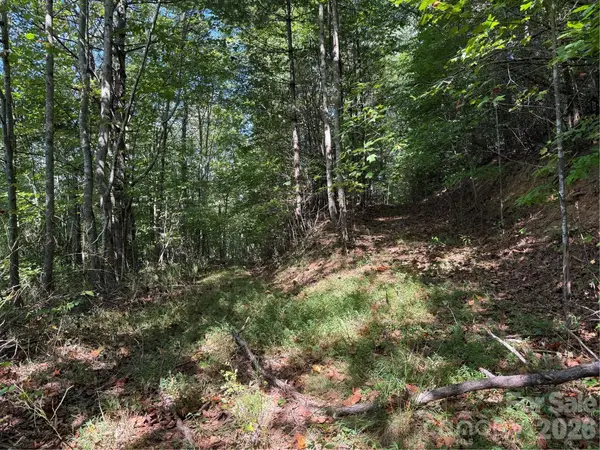000B Rosalie Lane #20, Waynesville, NC 28785
