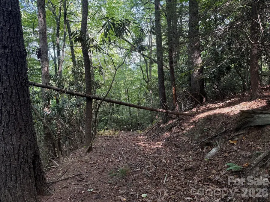 000B Rosalie Lane #20, Waynesville, NC 28785 - #3