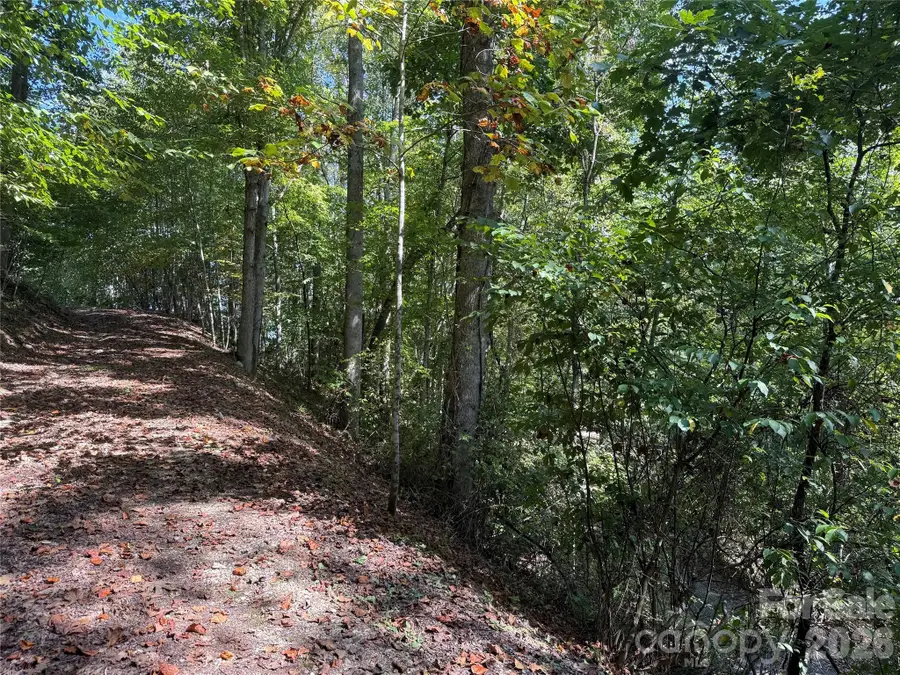 000C Rosalie Lane, Waynesville, NC 28785 - #2