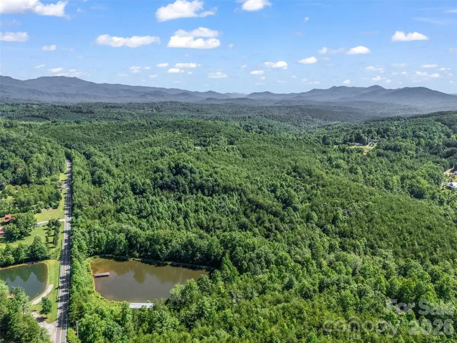 0000 Bills Creek Road, Lake Lure, NC 28746 - #2
