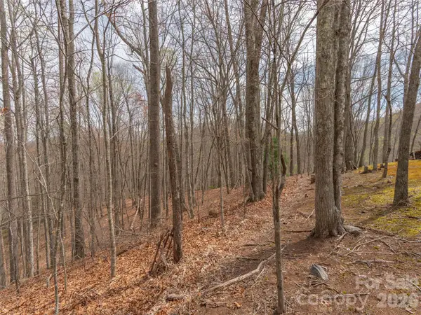 00 Michele Lane #4, Leicester, NC 28748