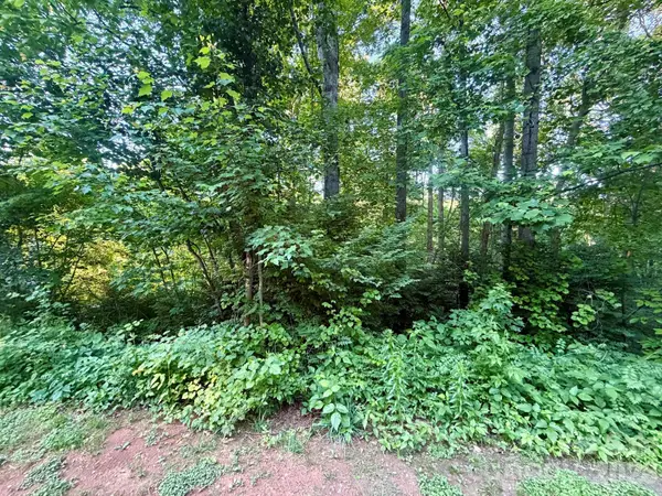 1221 Shirebourn None, Hickory, NC 28602