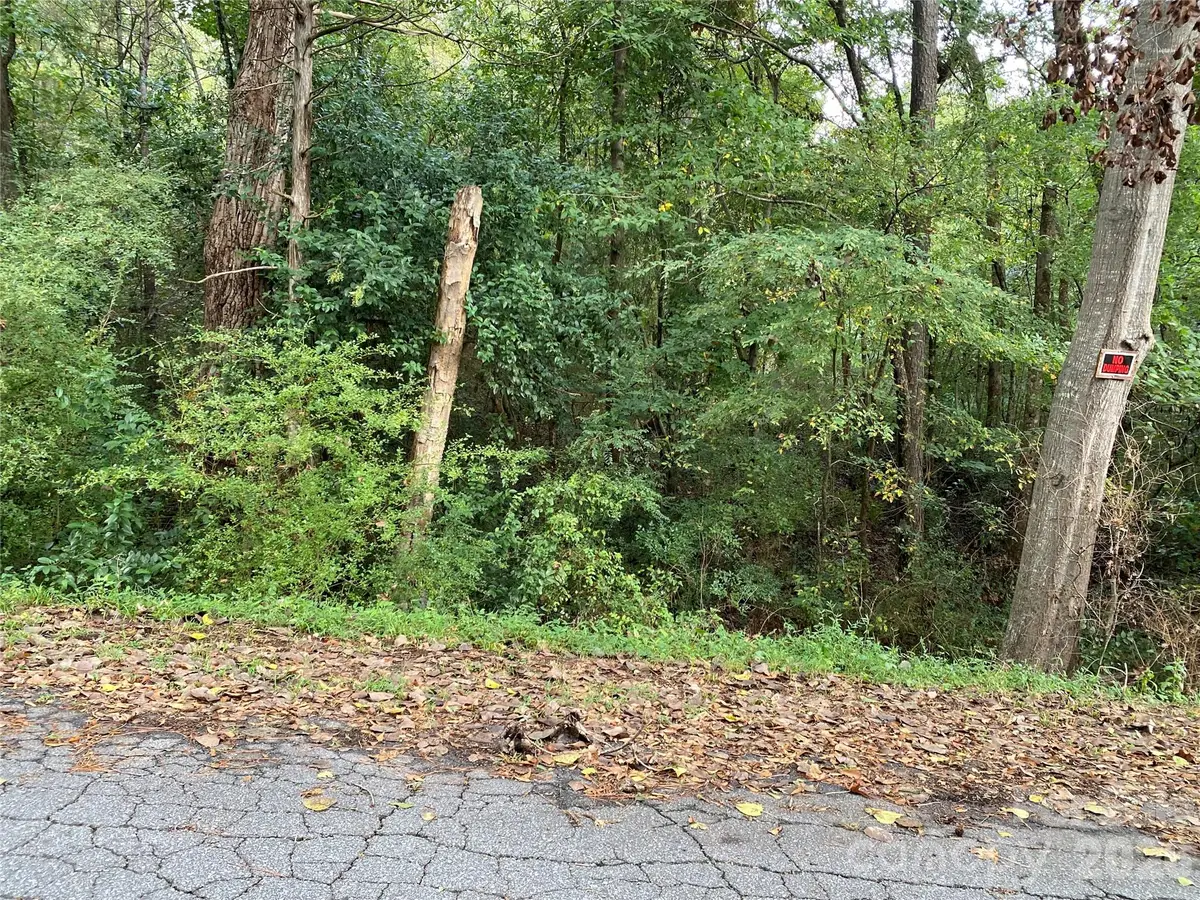 0 Slayton Street, Whitmire, SC 29178 - #1