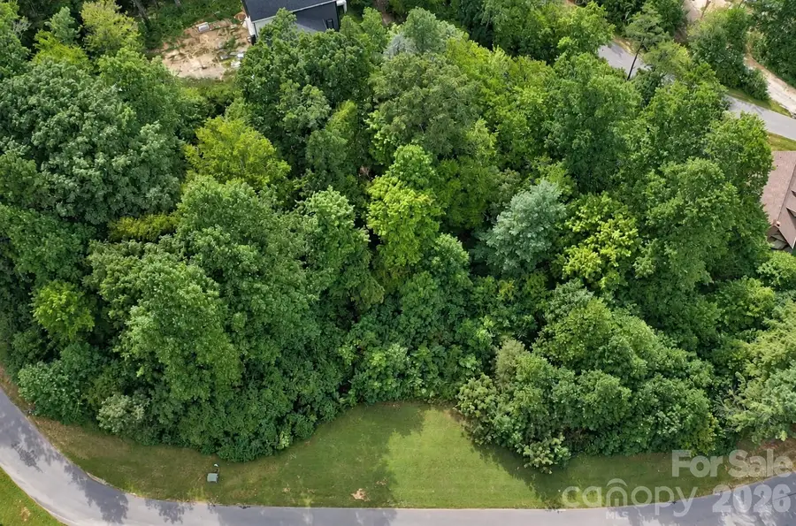 18 Mountain Magnolia Drive, Leicester, NC 28748 - #2