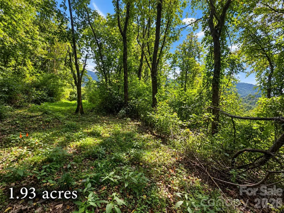 81 Dove Crest Lane #18 & 33, Waynesville, NC 28786 - #1