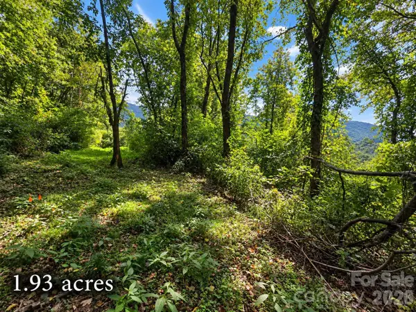 81 Dove Crest Lane #18 & 33, Waynesville, NC 28786