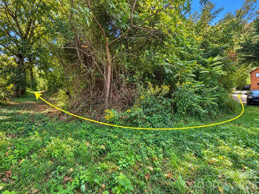 81 Dove Crest Lane #18 & 33, Waynesville, NC 28786 - #2