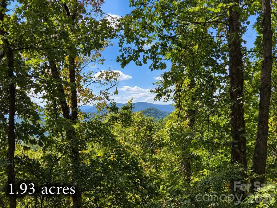 81 Dove Crest Lane #18 & 33, Waynesville, NC 28786 - #3