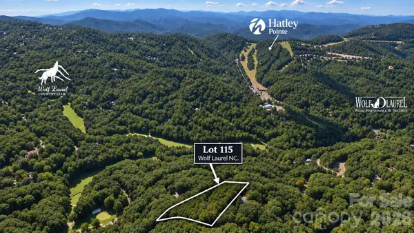 LOT 115 Sugar Tree Lane #115, Mars Hill, NC 28754