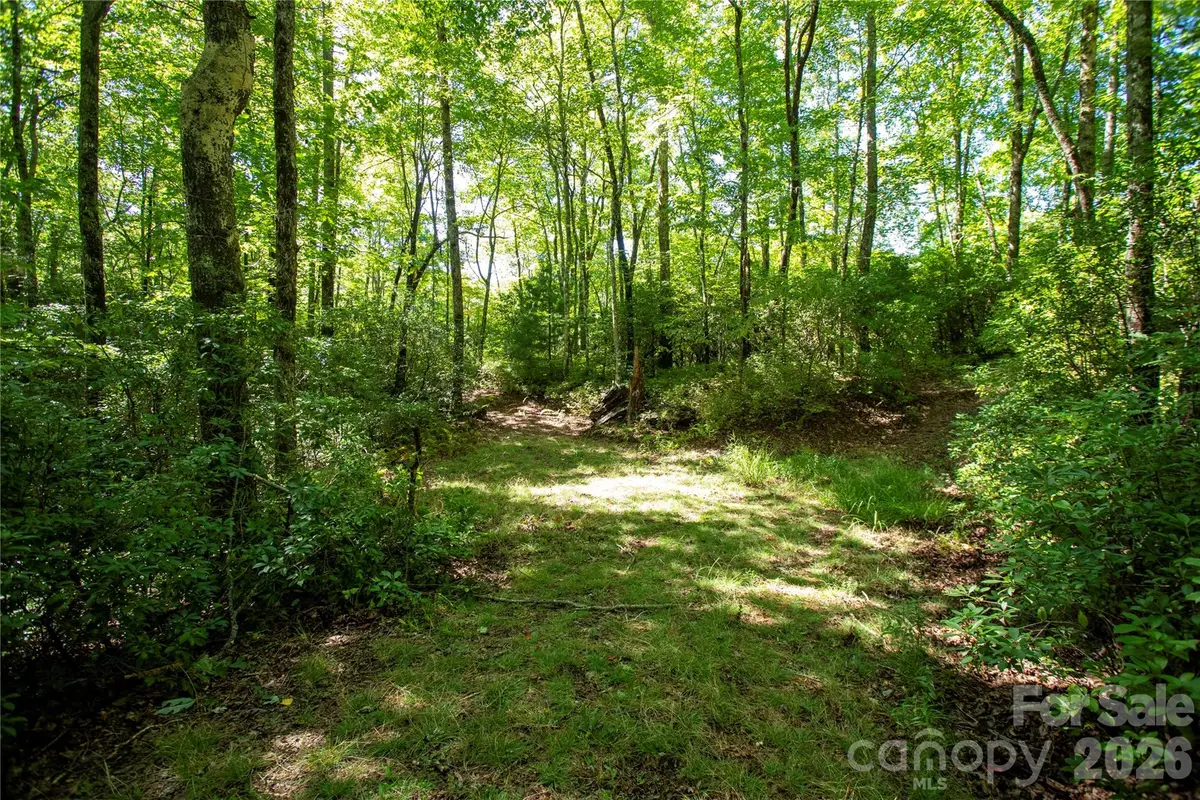 147 Hummingbird Hollow, Rosman, NC 28772 - #1