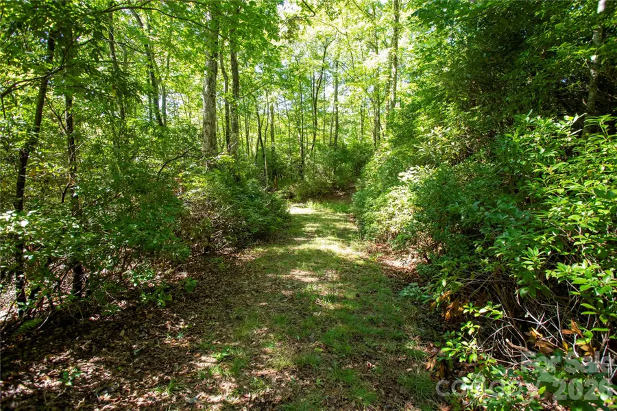147 Hummingbird Hollow, Rosman, NC 28772 - #3