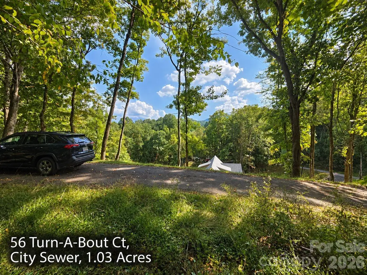 300 Turn-a-bout Court #56, Maggie Valley, NC 28785 - #1