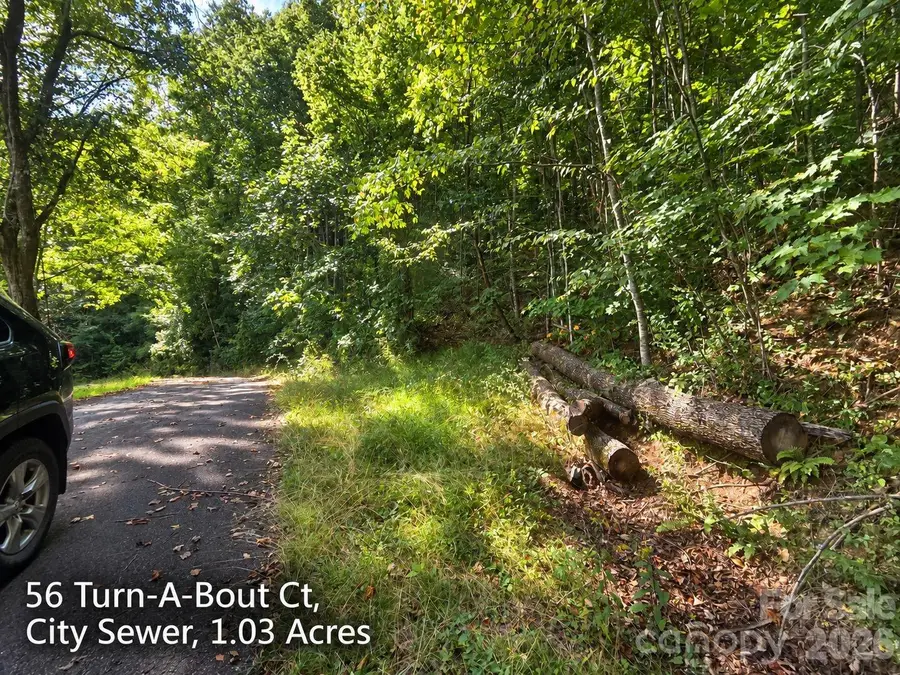 300 Turn-a-bout Court #56, Maggie Valley, NC 28785 - #2