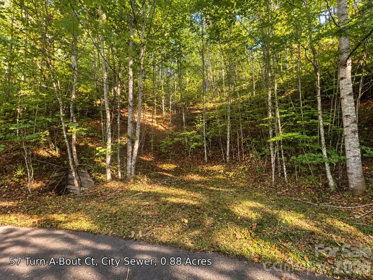 250 Turn-a-bout Court #57, Maggie Valley, NC 28785 - #1