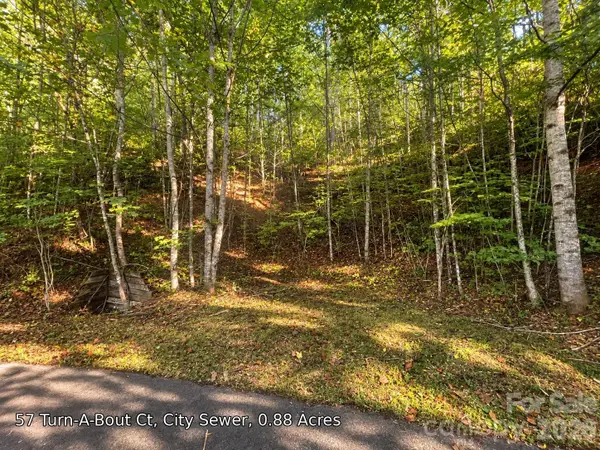 250 Turn-a-bout Court #57, Maggie Valley, NC 28785
