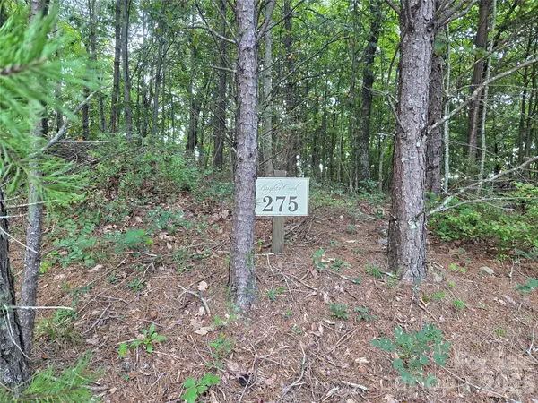 275 Kincaid Place #275, Mill Spring, NC 28756