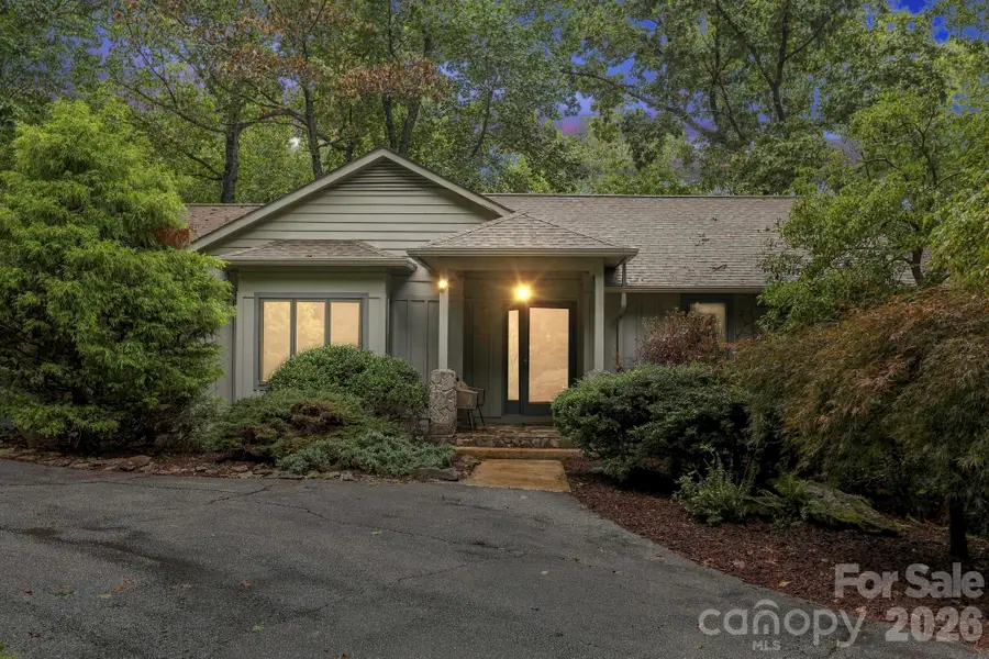 9 Laurel Forest Drive, Horse Shoe, NC 28742 - #2
