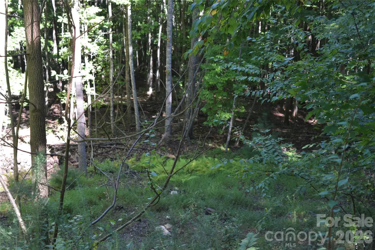 1410 N Double Knob Loop, Arden, NC 28704 - #1