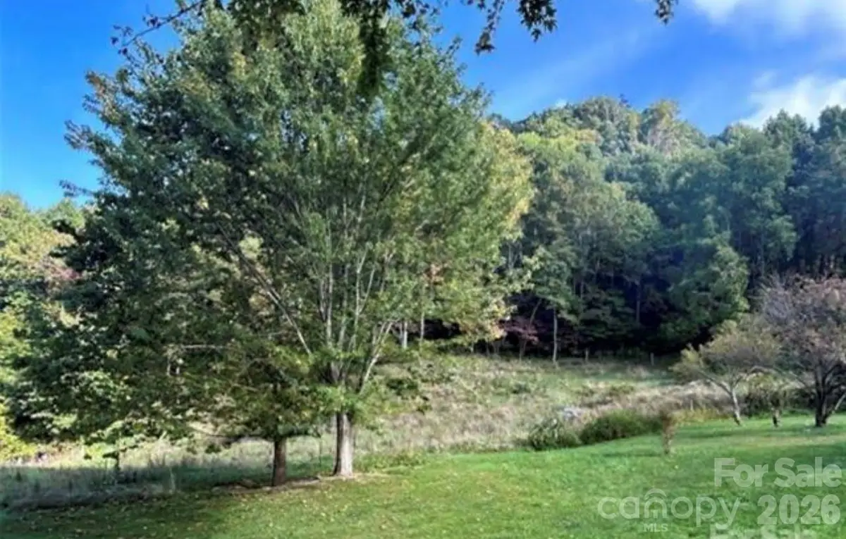 108 Lanning Road, Clyde, NC 28721 - #1