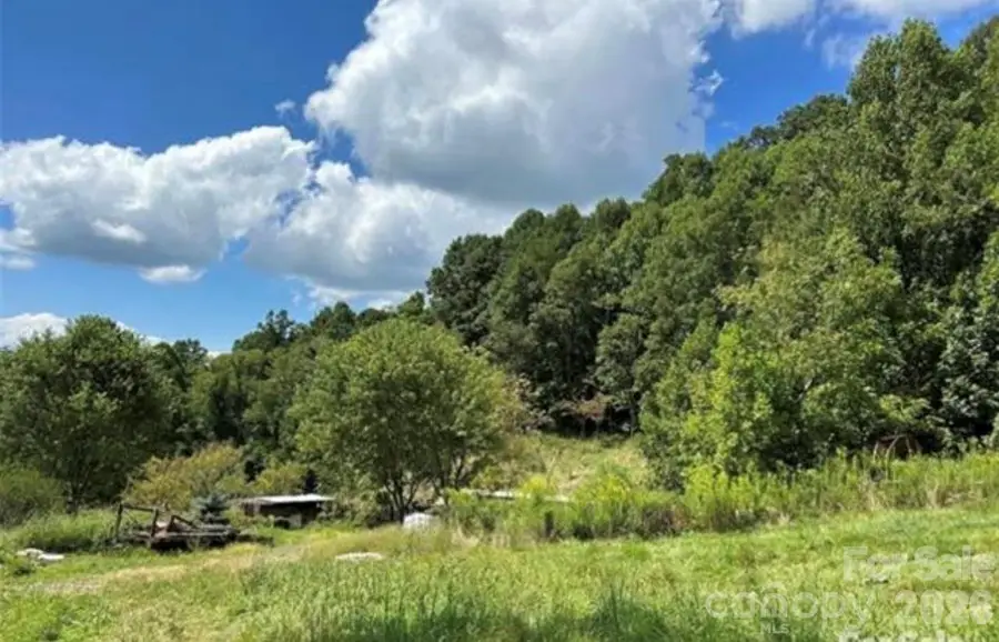 108 Lanning Road, Clyde, NC 28721 - #3