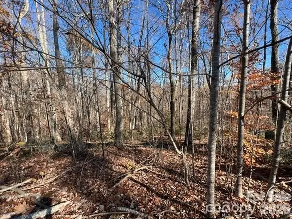 TBD Trail Ridge Drive #113, Marion, NC 28752