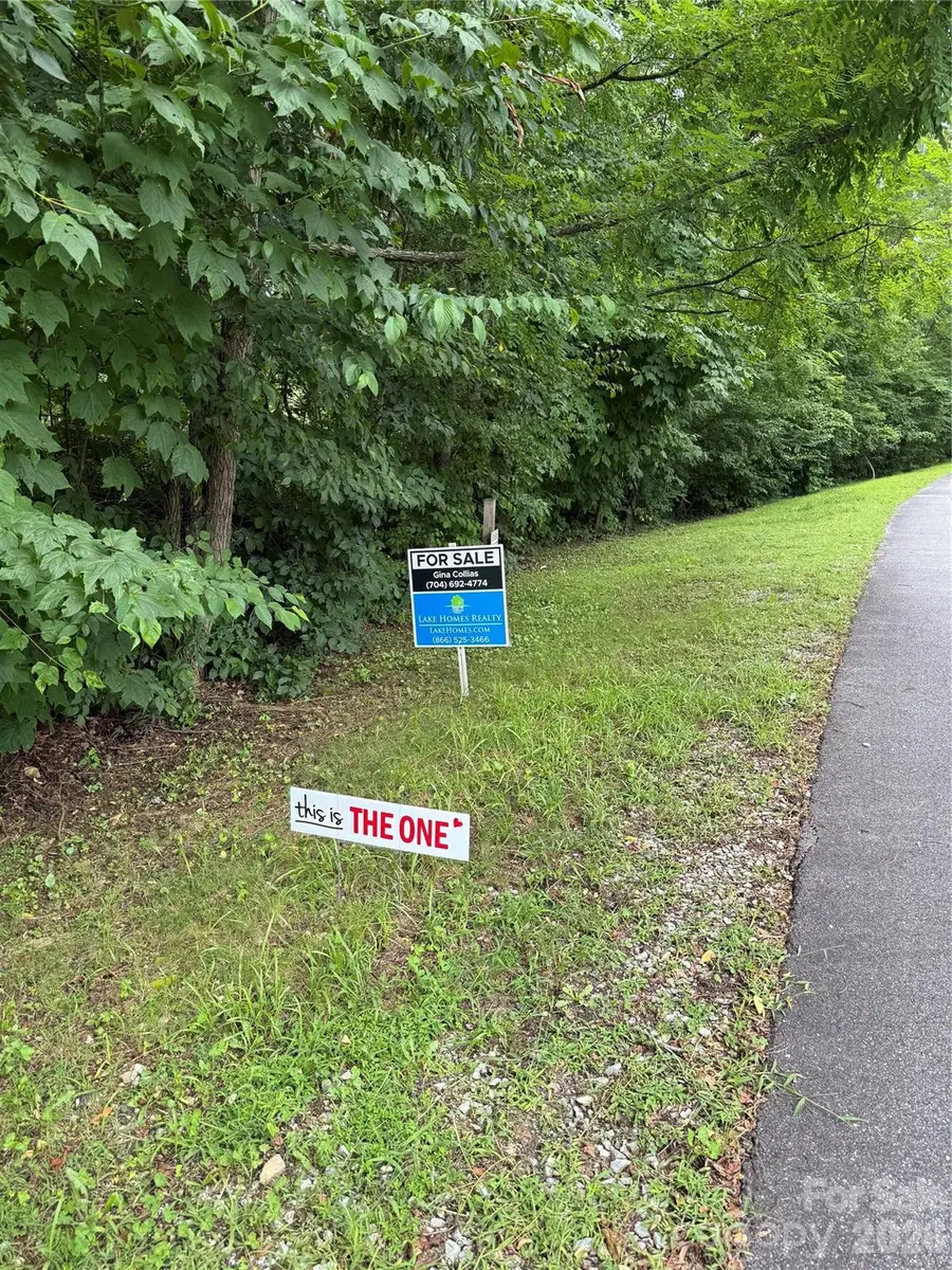 Lot #35 Damselfly Court, Spruce Pine, NC 28777 - #3