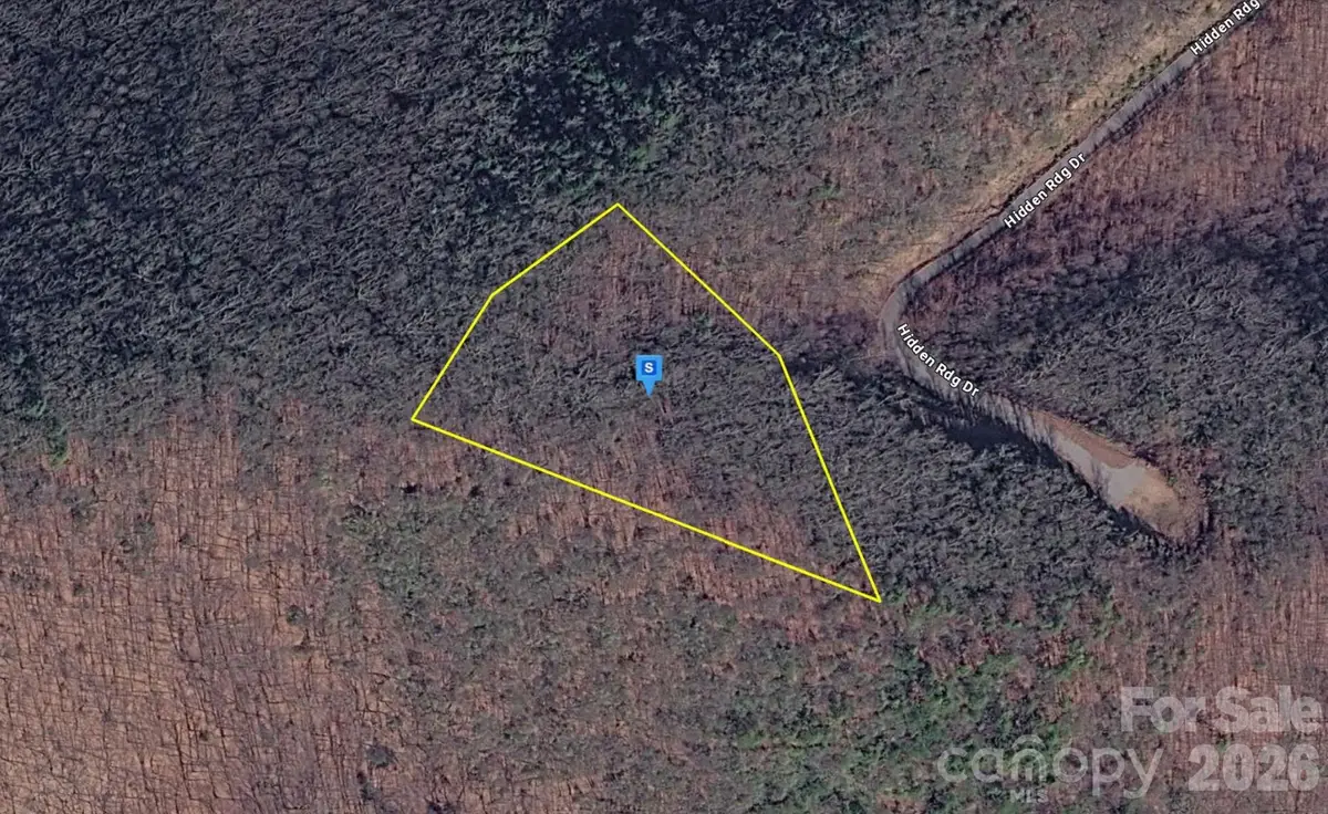 220 Big Cove Road, Candler, NC 28715 - #1