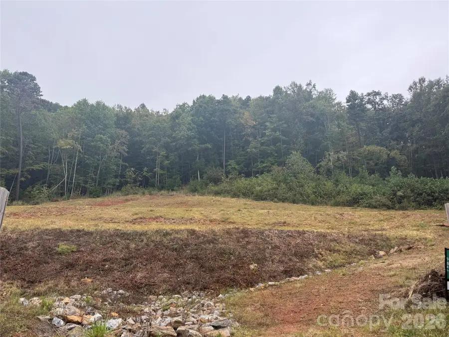 87 Starwood Valley Trail, Arden, NC 28704 - #3