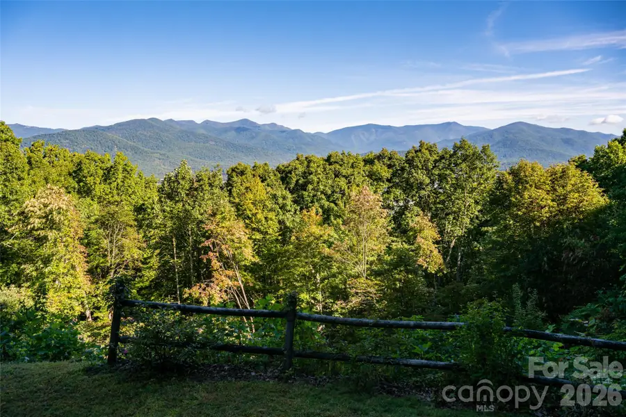 126 Wildflower Cove Drive, Swannanoa, NC 28778 - #2