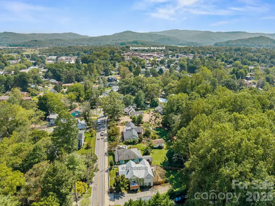 541 W Probart Street, Brevard, NC 28712 - #3