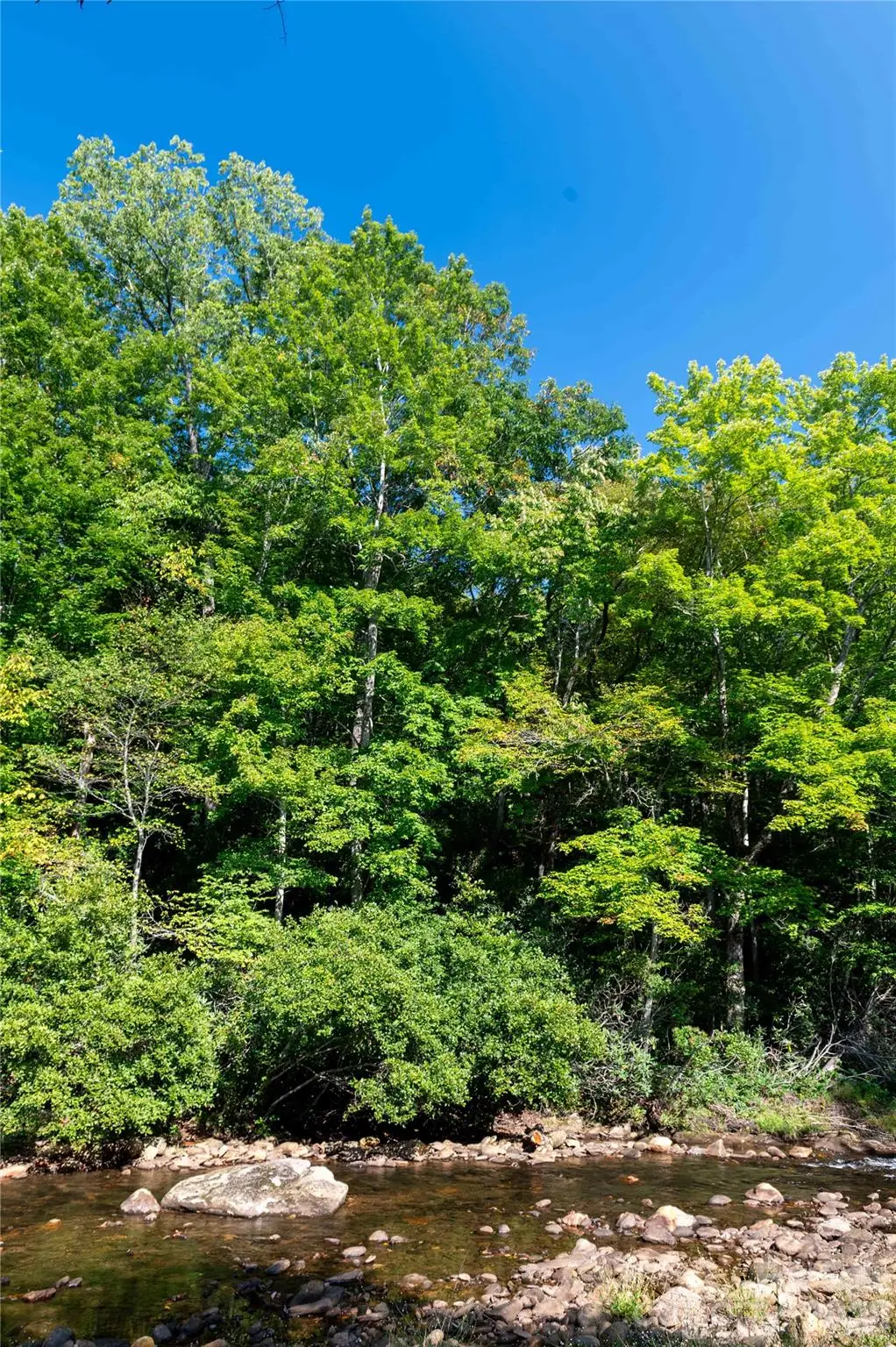 000 Sanctuary Drive, Burnsville, NC 28714 - #1