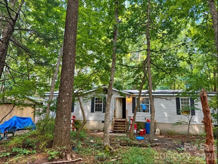 169 Bob Cat Spur Lane, Hendersonville, NC 28792 - #1