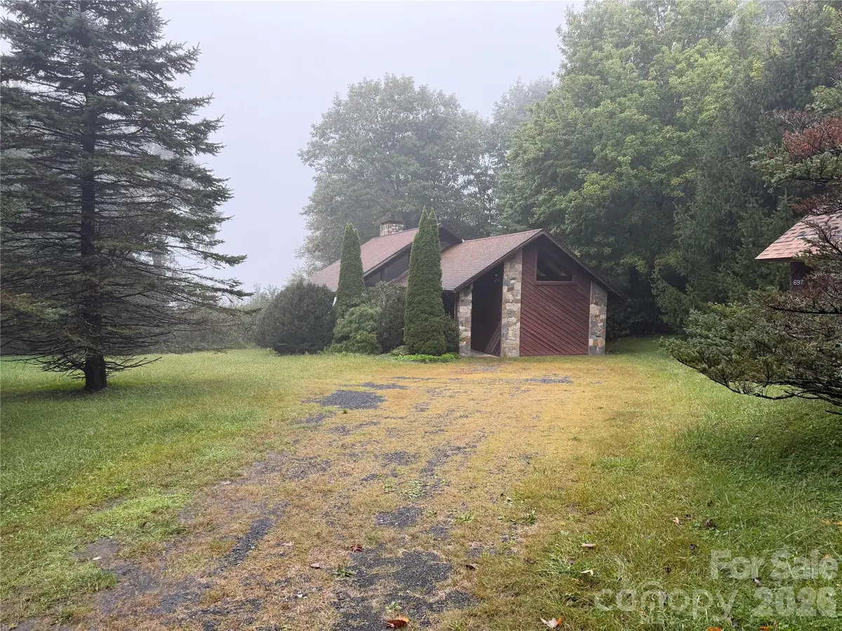 697 Grassy Mountain Road, Little Switzerland, NC 28749 - #1