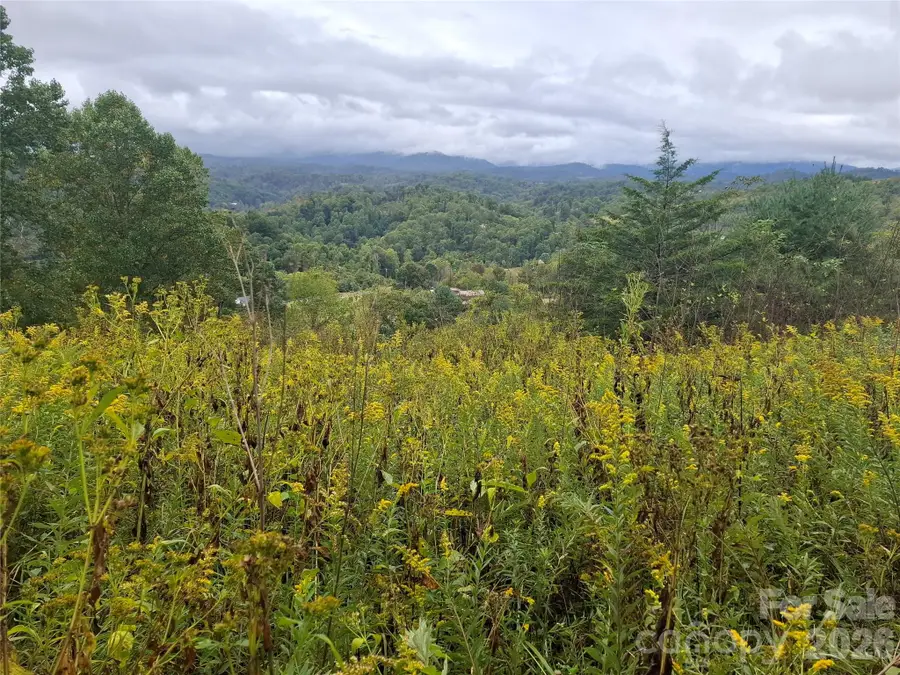 310 Sunset Mountain #11, Bakersville, NC 28705 - #2