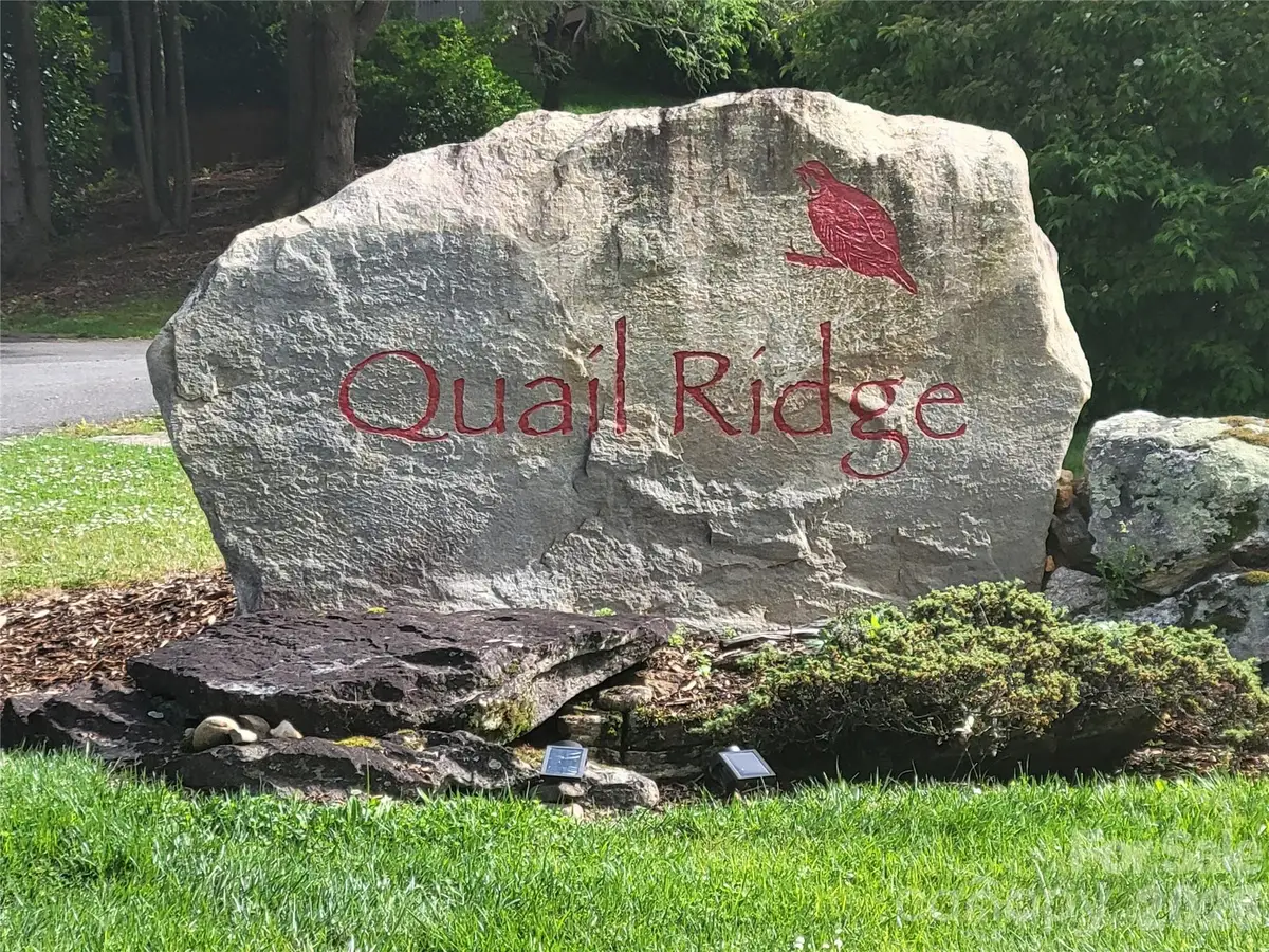 00 Quail Mountain Lane #23, Waynesville, NC 28786 - #1