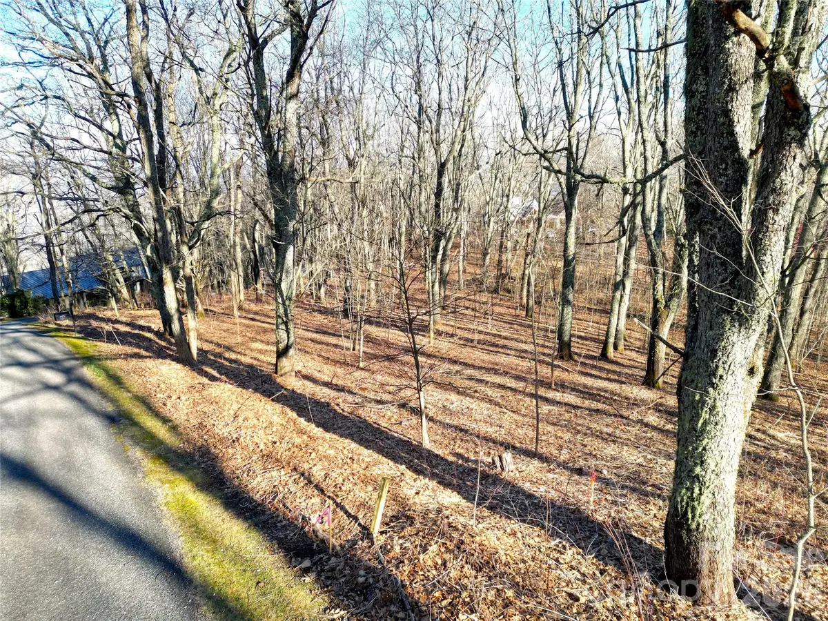 114 Eagle View Circle, Waynesville, NC 28786 - #1