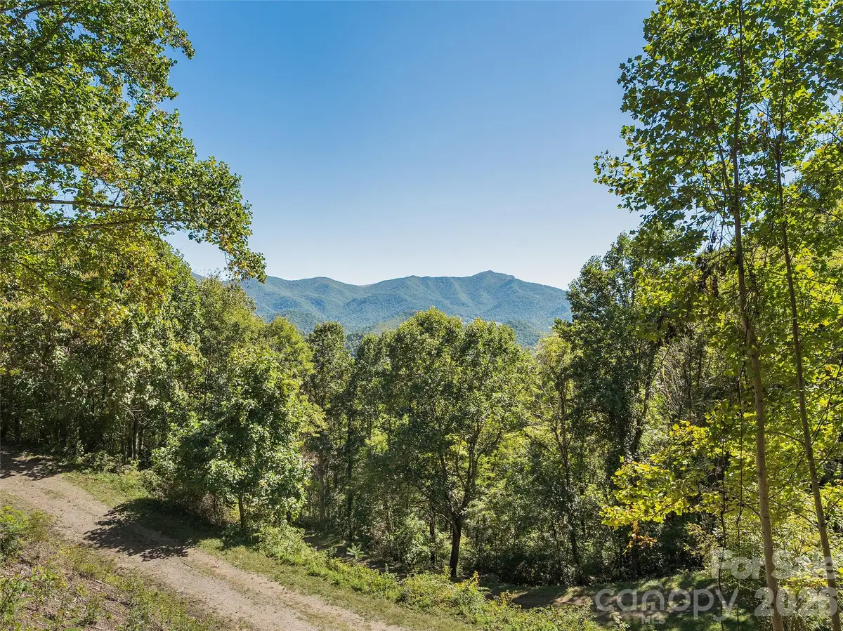 00 Mcnary Drive, Clyde, NC 28721 - #1