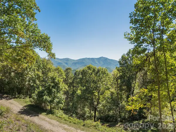 00 Mcnary Drive, Clyde, NC 28721