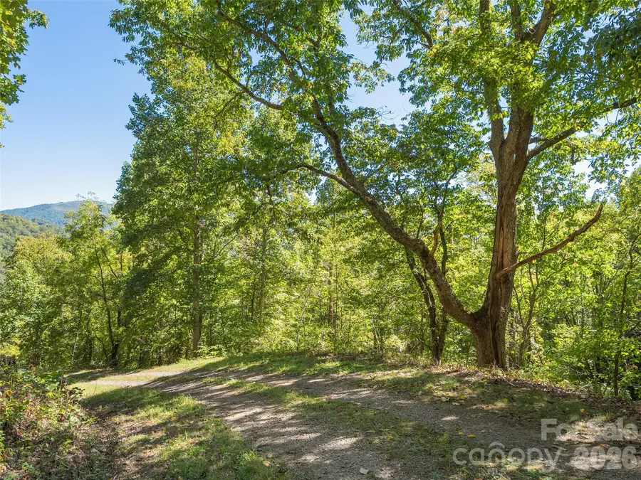 00 Mcnary Drive, Clyde, NC 28721 - #2