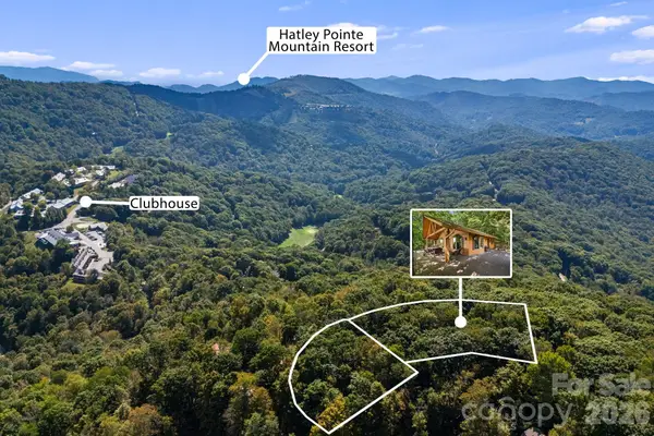 342 Granny Lewis Lane, Mars Hill, NC 28754
