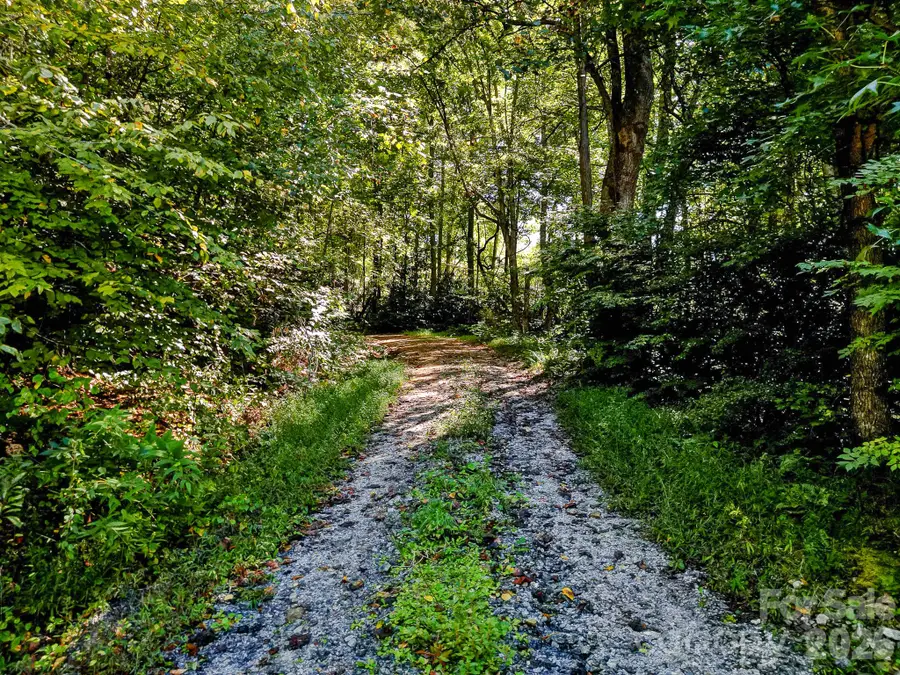 172 Rocky Top Ridge Drive, Fletcher, NC 28732 - #2