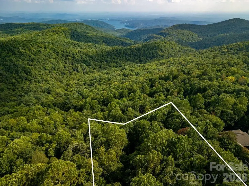 Lot 51 Waddle Branch Road #51, Sapphire, NC 28774 - #1