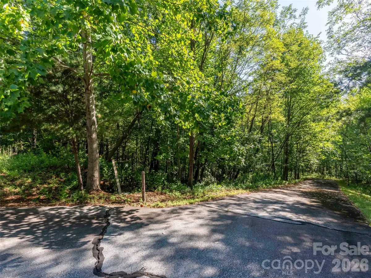 Lot 177 Grafton None, Mill Spring, NC 28756 - #1