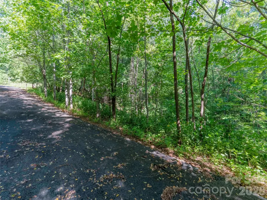 Lot 177 Grafton None, Mill Spring, NC 28756 - #2